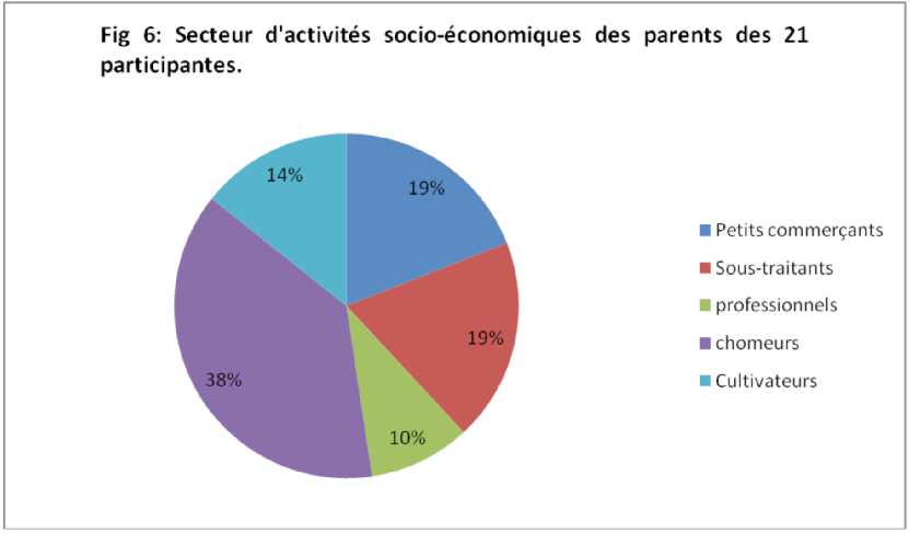 Fig 6: Secteur d'activités socio-économiques des parents des 21 participantes.